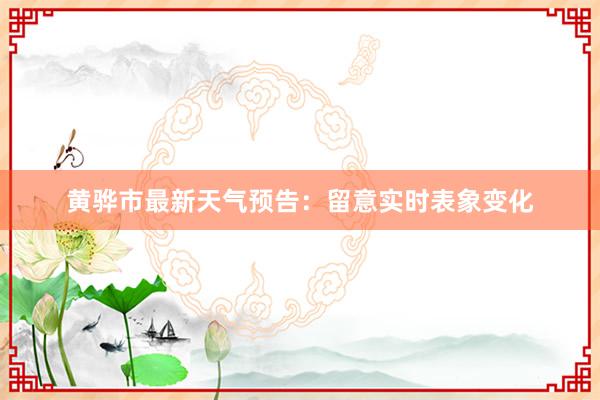 黄骅市最新天气预告：留意实时表象变化